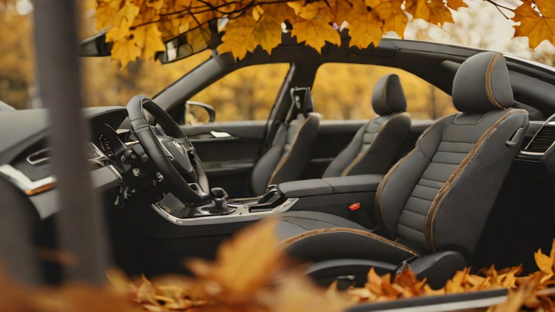 Мальчик в детском автокресле осенью