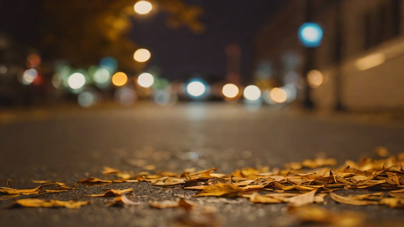 Пример изображения: Volkswagen Polo 1.6 MPI