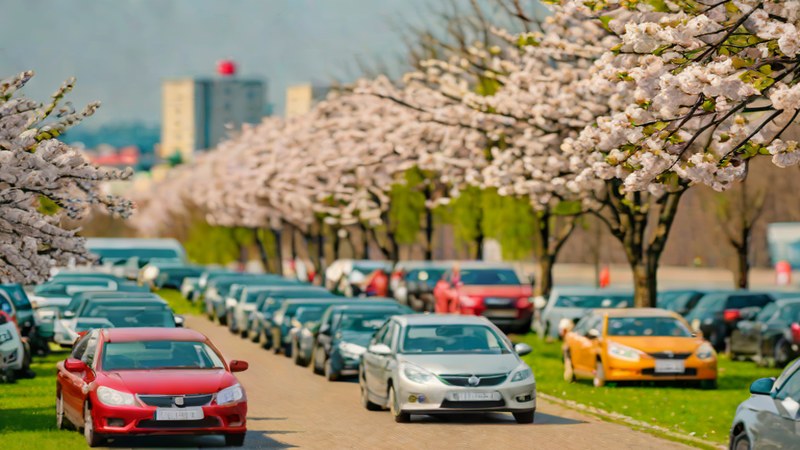 尼日夫罗德的中国汽车试驾活动