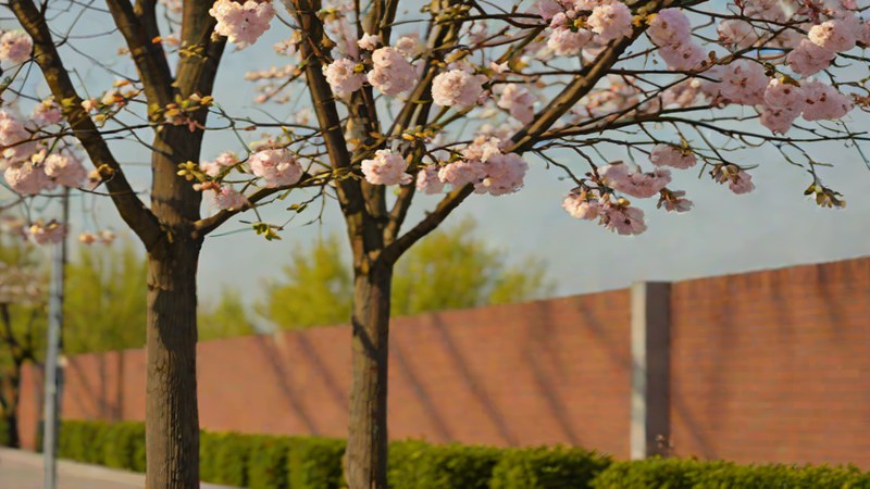 Пример работы с кирпичной кладкой в Нижнем Новгороде.